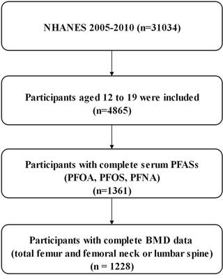 Association between perfluoroalkyl substances concentration and bone mineral density in the US adolescents aged 12-19 years in NHANES 2005-2010